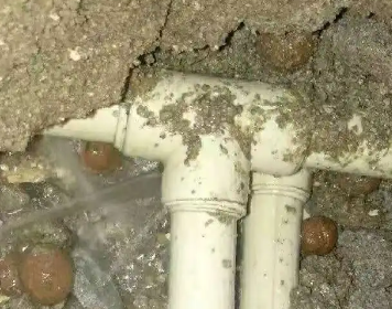 濮阳市测漏水多少钱