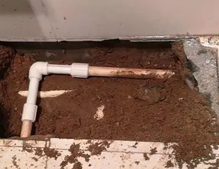 濮阳市测漏水哪家好