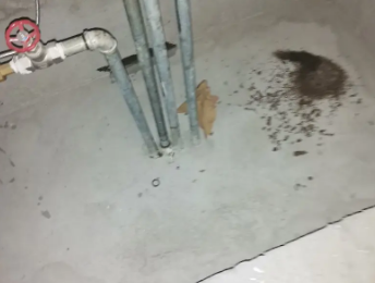 濮阳市卫生间测漏水价格明细